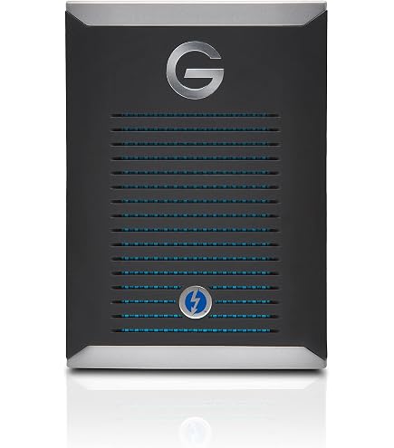 Amazon | サンディスクプロフェッショナル 外付け ポータブルSSD 4TB G